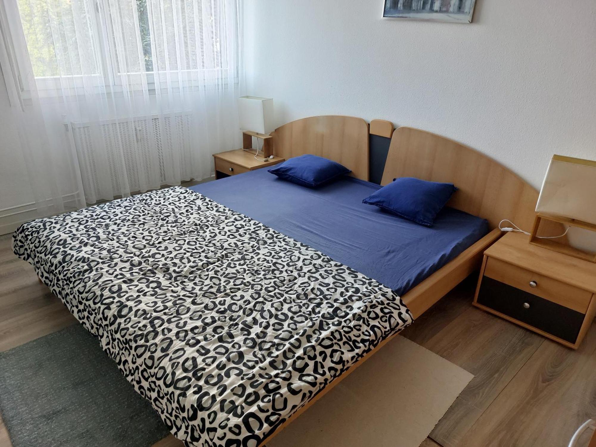 3 Zimmer Apartment In Saint Louis, Nahe Euroairport Eksteriør billede